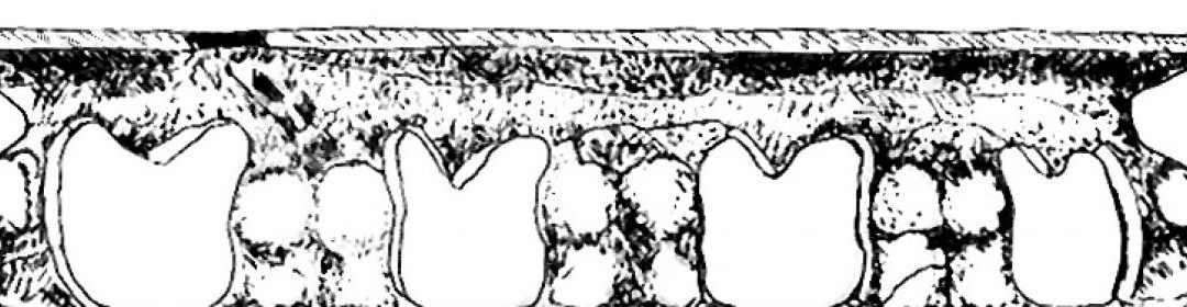 The Hora of Frumusica, a perpetual dance