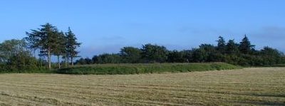 Megaliths and Dance