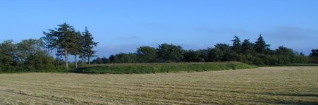 Megaliths and Dance